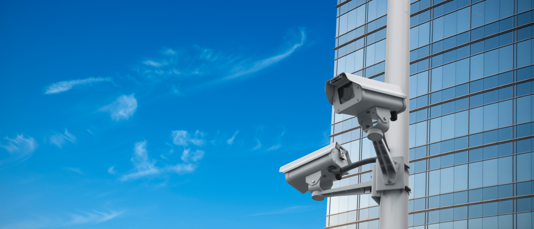 IP-Surveillance